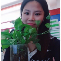 朱黄敏