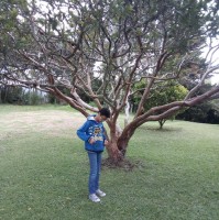 Miguel Angel romero romero valencia