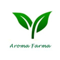 Info Aroma