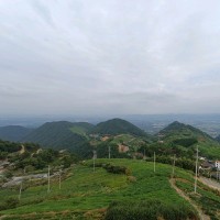 Haifeng Liu