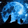 moon light