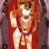 Shivanitiwari Shivanitiwari