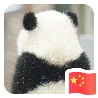 李金朔