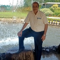 Ramesh Ahuja