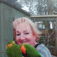Susan Wardle