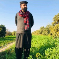 Zubair Ahmad Warraich