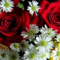 Pooja Poojar