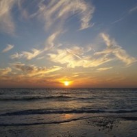 Marco-Naples Living