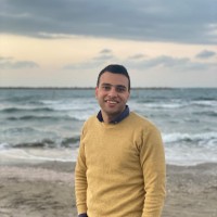 Amr EL Samahy