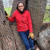 Beth Hoffman