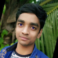 Ashish Ray