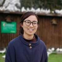 Yiting Jiang