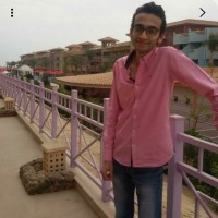 Mohamed Mohsen Mosaad