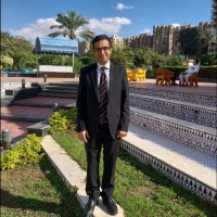 Hassan Touni