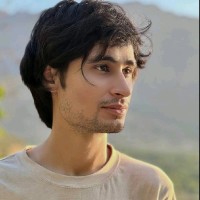 Ali Javid