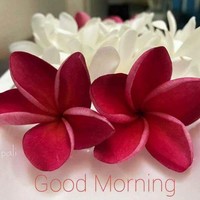 swathi gona