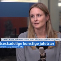 Cathrine Brecke Gundersen