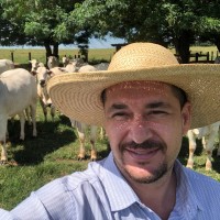 Sérgio Amaral Castro Filho