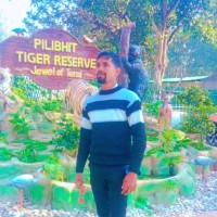 Saket Raj