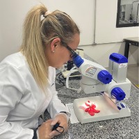 Reginalda Rocha