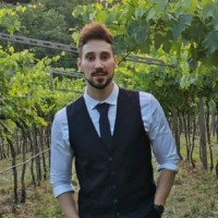 Petru Balan