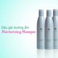 Dầu Gội Shampoo