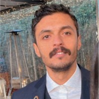 Amr El-Alfi