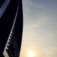 Zhu Cherry