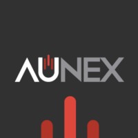 Aunex Inc