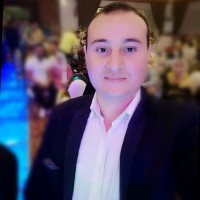 mansour M.