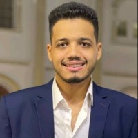 Mohammed Sayed Hanfy