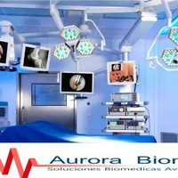 hector geovanni centeno delgado