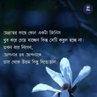 Saifun Kakon