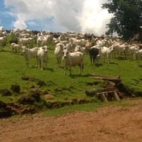 Valdir Fogaça dos Santos