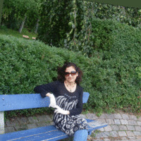 Farzaneh E.Fasaee