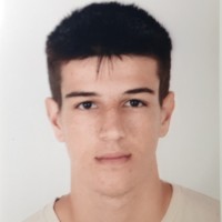Niccolò Bertozzi