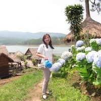 an hoang