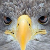 Dublin Recruitment ,Ireland