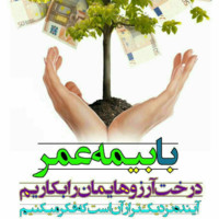 ناصر عباس اوغلی