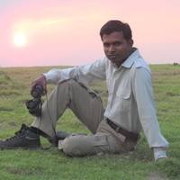Harendra Dhodhare