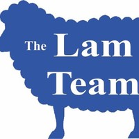 Vic Lam