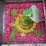 Hr Priya