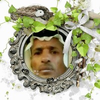 محمد الداودي