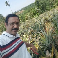 Sanjeevkumar Devadas