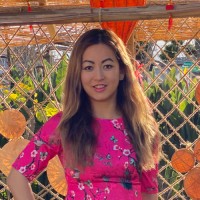 Vi Phan