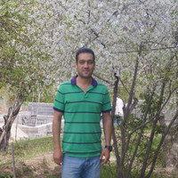 Mohammad Kash