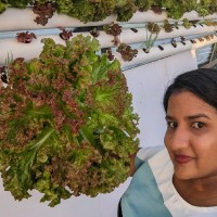 Kristy Naidoo-Kurban