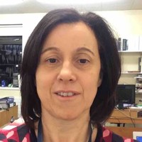 Patricia Casey
