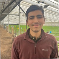 Felipe Tobar Gutierrez