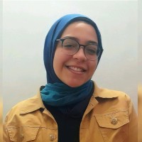 Reem Amer